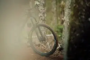 MTB